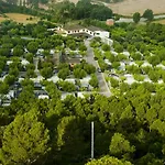 Kemp - El Solsones Solsona