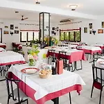 - El Solsones Kemp Solsona