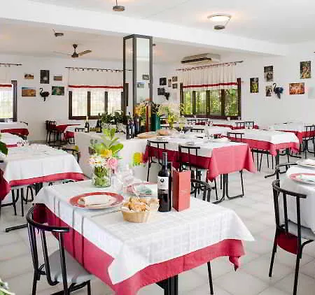 - El Solsones Camping Solsona