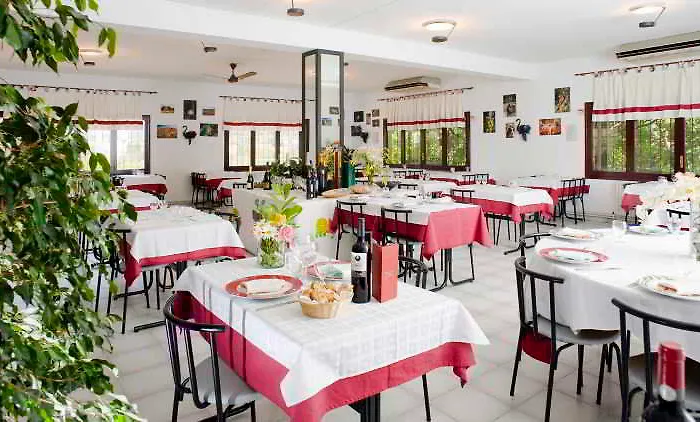 - El Solsones Campingplatz Solsona